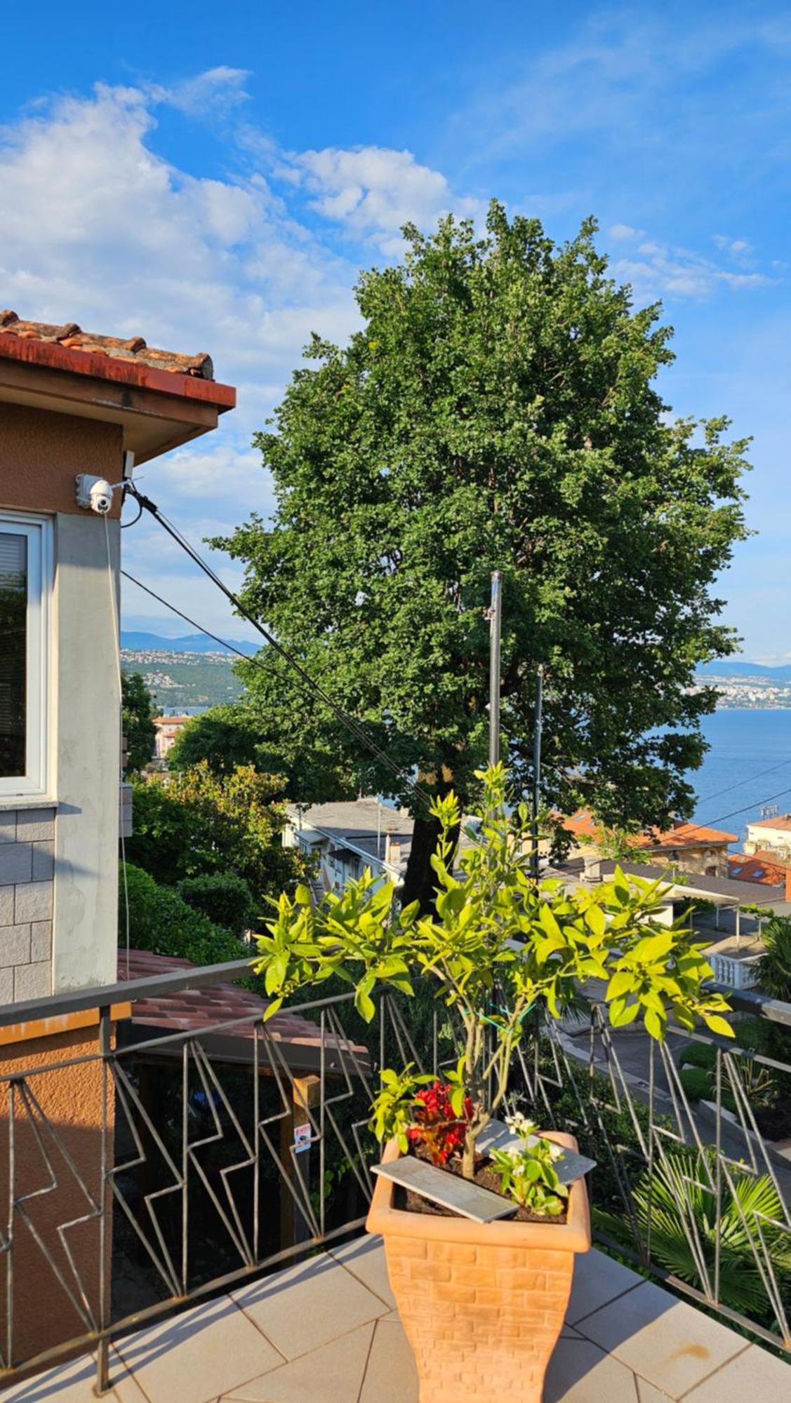 Elvira Apartment *